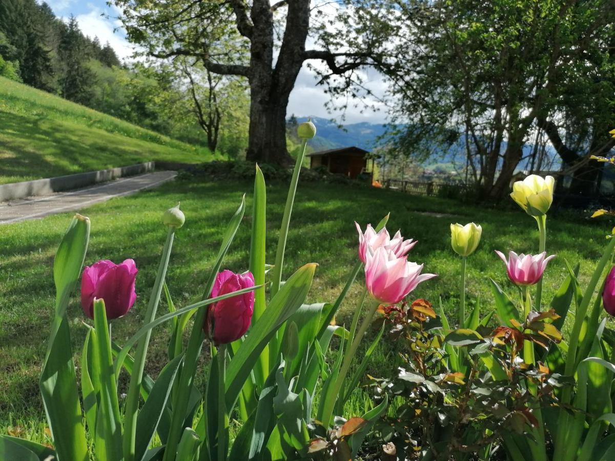 Hoerandlhof Aigen im Ennstal Dış mekan fotoğraf